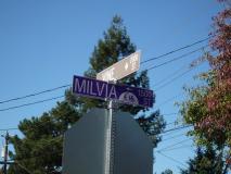 Min_2-Day-In-SF-010.jpg