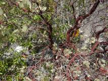 Min_After-Seven-009.jpg