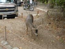 Min_After-Seven-016.jpg