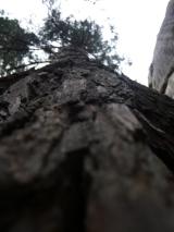 Min_After-Seven-022.jpg
