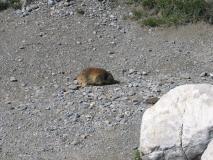Min_Aiguille-Vanoise-044.jpg