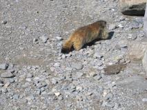 Min_Aiguille-Vanoise-045.jpg