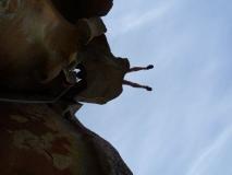 Min_Alexandra-Esperanza-022.jpg