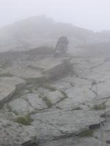 Min_Alouette-012.jpg