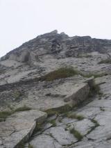 Min_Alouette-014.jpg