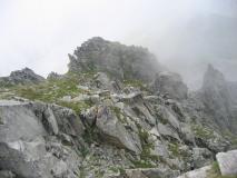 Min_Alouette-015.jpg