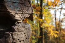 Min_Alsace-Automne-Gueb-003.jpg
