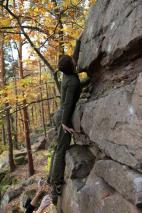 Min_Alsace-Automne-Gueb-023.jpg