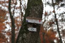 Min_Alsace-Automne-Gueb-024.jpg