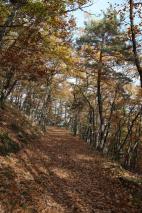Min_Alsace-Automne-Gueb-026.jpg