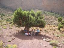 Min_Approche-Baraka-008.jpg