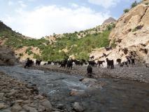 Min_Approche-Baraka-018.jpg