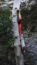 Min_Apres-Midi-Chien-002.jpg