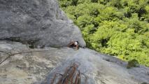 Min_Apres-Midi-Chien-007.jpg