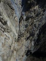 Min_Arche-De-Noe-016.jpg