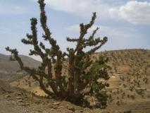 Min_Azilal-Pause-013.jpg
