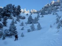 Min_Balme-Colon-013.jpg