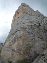 Min_Benevise-022.jpg