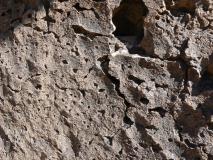 Min_Bishop-005.jpg