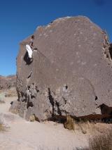 Min_Bishop-007.jpg
