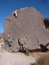 Min_Bishop-008.jpg