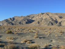Min_Bishop-025.jpg