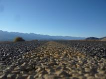 Min_Bishop-028.jpg