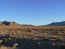 Min_Bishop-030.jpg