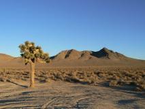 Min_Bishop-031.jpg