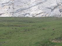 Min_Borderan-002.jpg