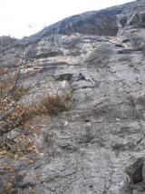 Min_Brison-001.jpg