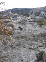 Min_Brison-003.jpg