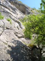 Min_Brison-BBQ-006.jpg