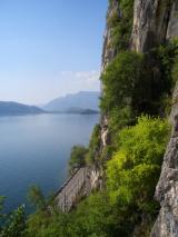 Min_Brison-BBQ-011.jpg