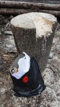 Min_But-Suisse-Orco-005.jpg