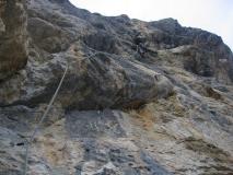 Min_Cactus-006.jpg