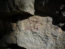 Min_Cactus-2009-001.jpg