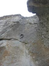 Min_Canalis-006.jpg