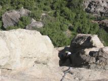 Min_Canalis-021.jpg