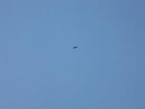 Min_Canalis-032.jpg