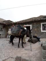 Min_Canyon-Taghia-025.jpg