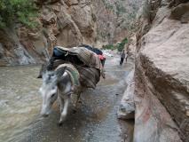 Min_Canyon-Taghia-030.jpg