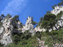 Min_Cassis-003.jpg