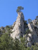 Min_Cassis-005.jpg