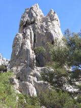 Min_Cassis-008.jpg