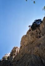 Min_Cassis-022.jpg