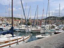 Min_Cassis-027.jpg