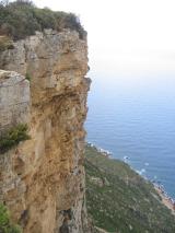 Min_Cassis-031.jpg