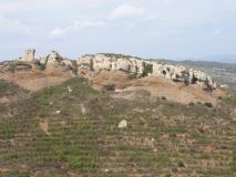 Min_Cassis-032.jpg