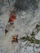 Min_Cenobites-Tranquilles-009.jpg